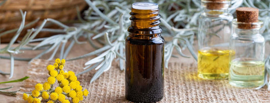 Helicriso: Propiedades, Beneficios, Usos - ZYOUNAT Boutique