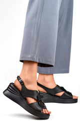 Cocer modelo 194893 PRIMO