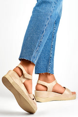 Cocer modelo 197489 PRIMO