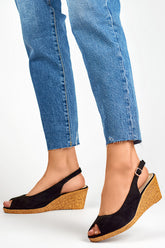 Cocer modelo 197491 PRIMO