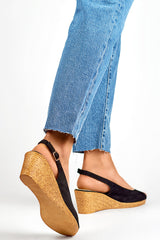 Cocer modelo 197491 PRIMO