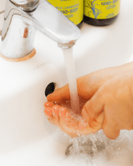 Gel de Ducha y Lavado de Manos de Hierba de Limón Silvestre, 300 ml - ZYOUNAT Boutique