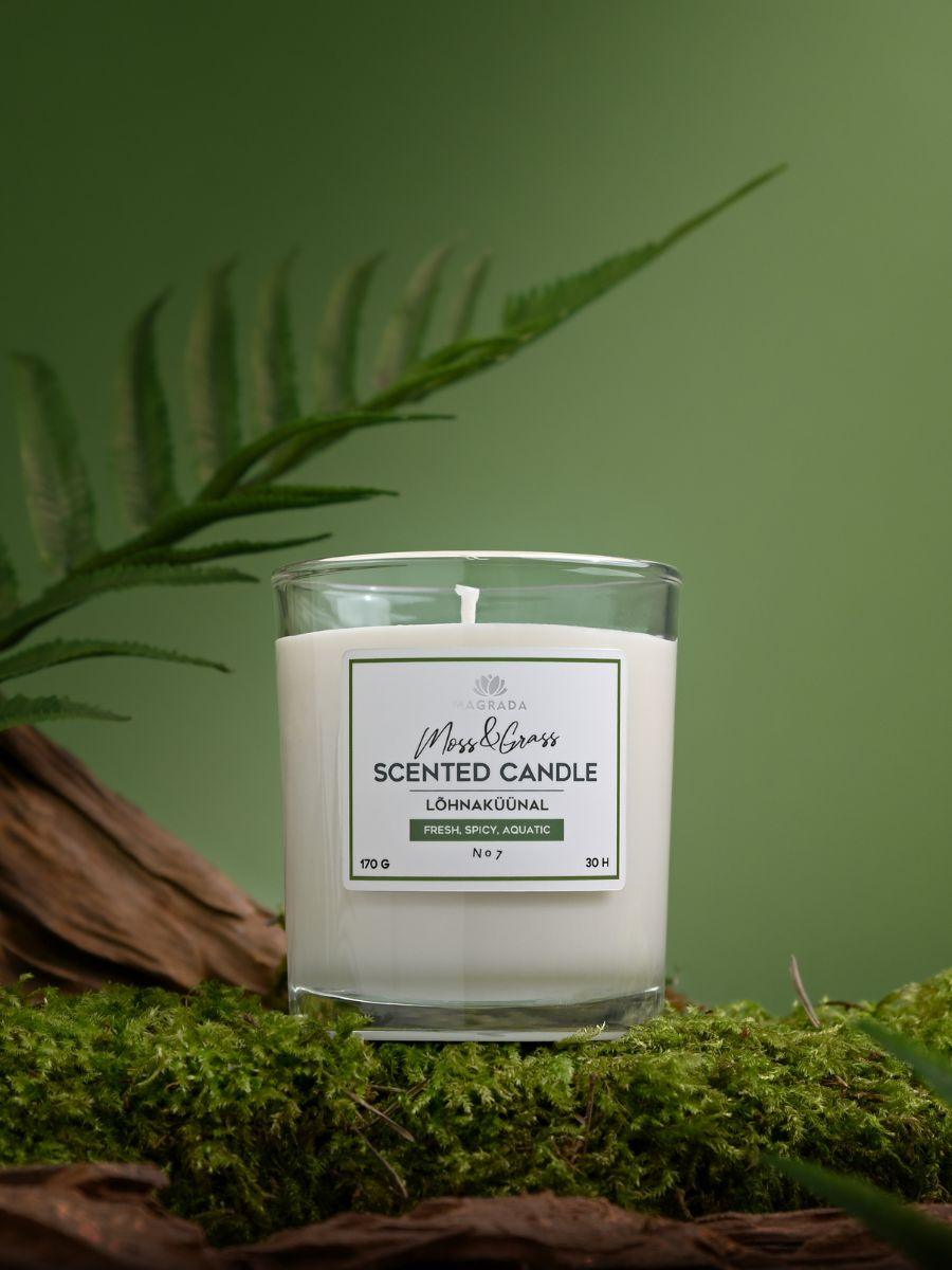 Vela Perfumada Moss & Grass - 170 g - ZYOUNAT Boutique