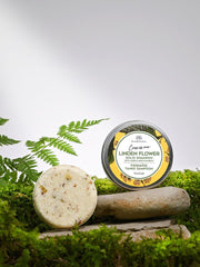 Shampoo Sólido de Flor de Tilo con Extracto de Abedul Nórdico - ZYOUNAT Boutique