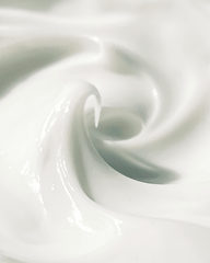 Crema de Día Hidratante con Neroli, 50 ml - ZYOUNAT Boutique