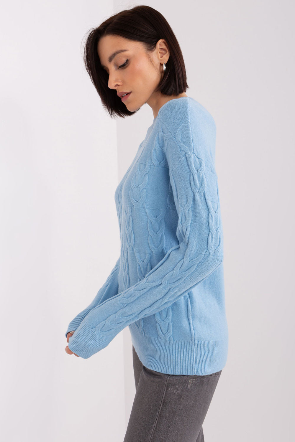 Jersey de Punto modelo 208301 AT