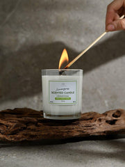 Vela Perfumada de Lemongrass - 170 g - ZYOUNAT Boutique