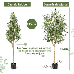 Juego de 1 Árboles de Olivo Artificial 182 cm Plantas Falsas Decorativas de Imitación en Maceta de Cemento para Interior Oficina Casa