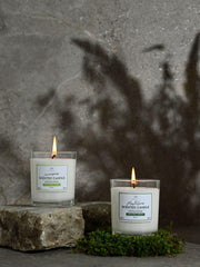 Vela Perfumada Moss & Grass - 170 g - ZYOUNAT Boutique