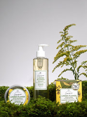 Shampoo de Flor de Tilo con Extracto de Abedul Nórdico - 250ml - ZYOUNAT Boutique