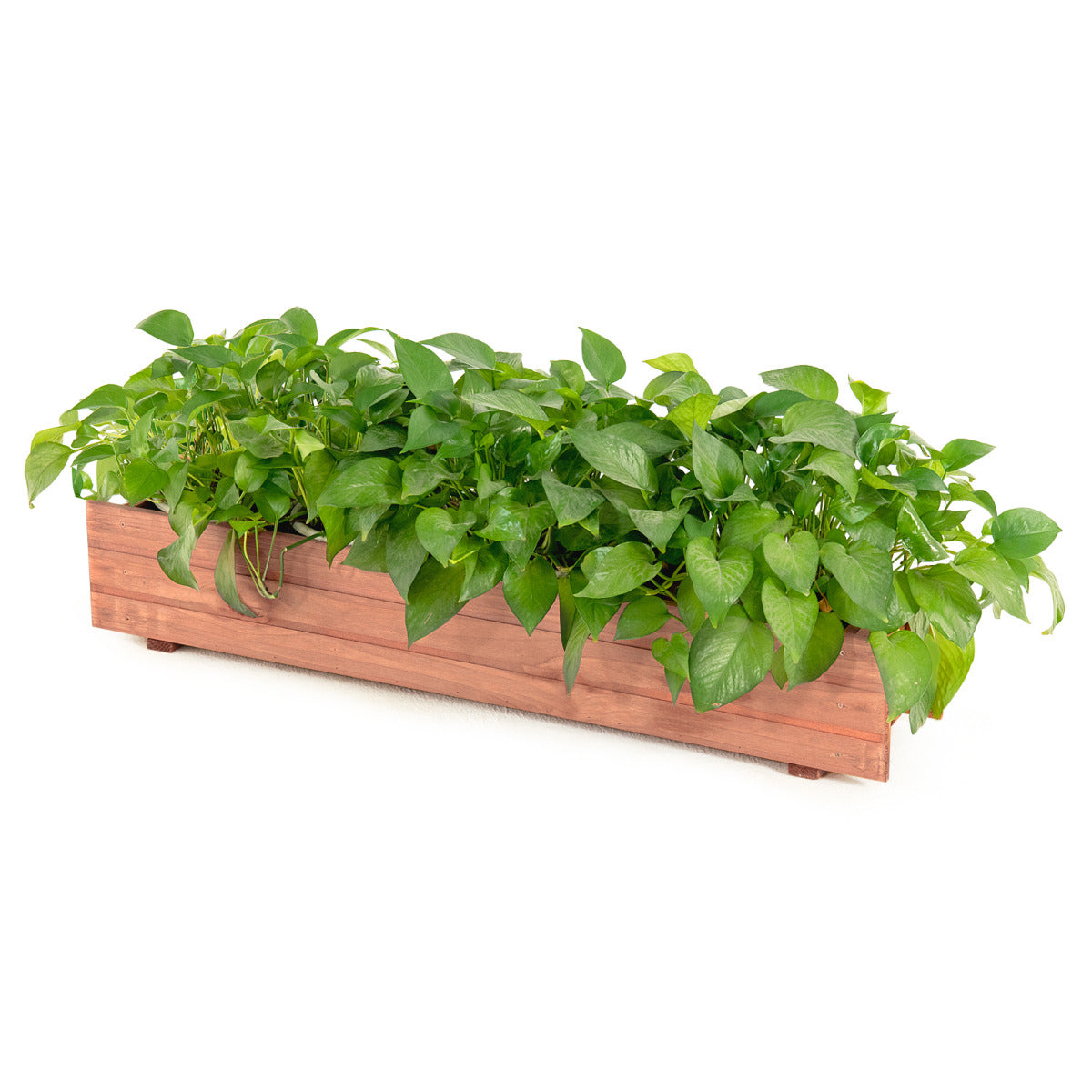 Arriate de Madera Jardín Cama Elevada para Plantas Suelo de Huerto Urbano Caja para Vegetales Frutas Hierbas Patio Balcón 91,5 x 18 x 15 cm