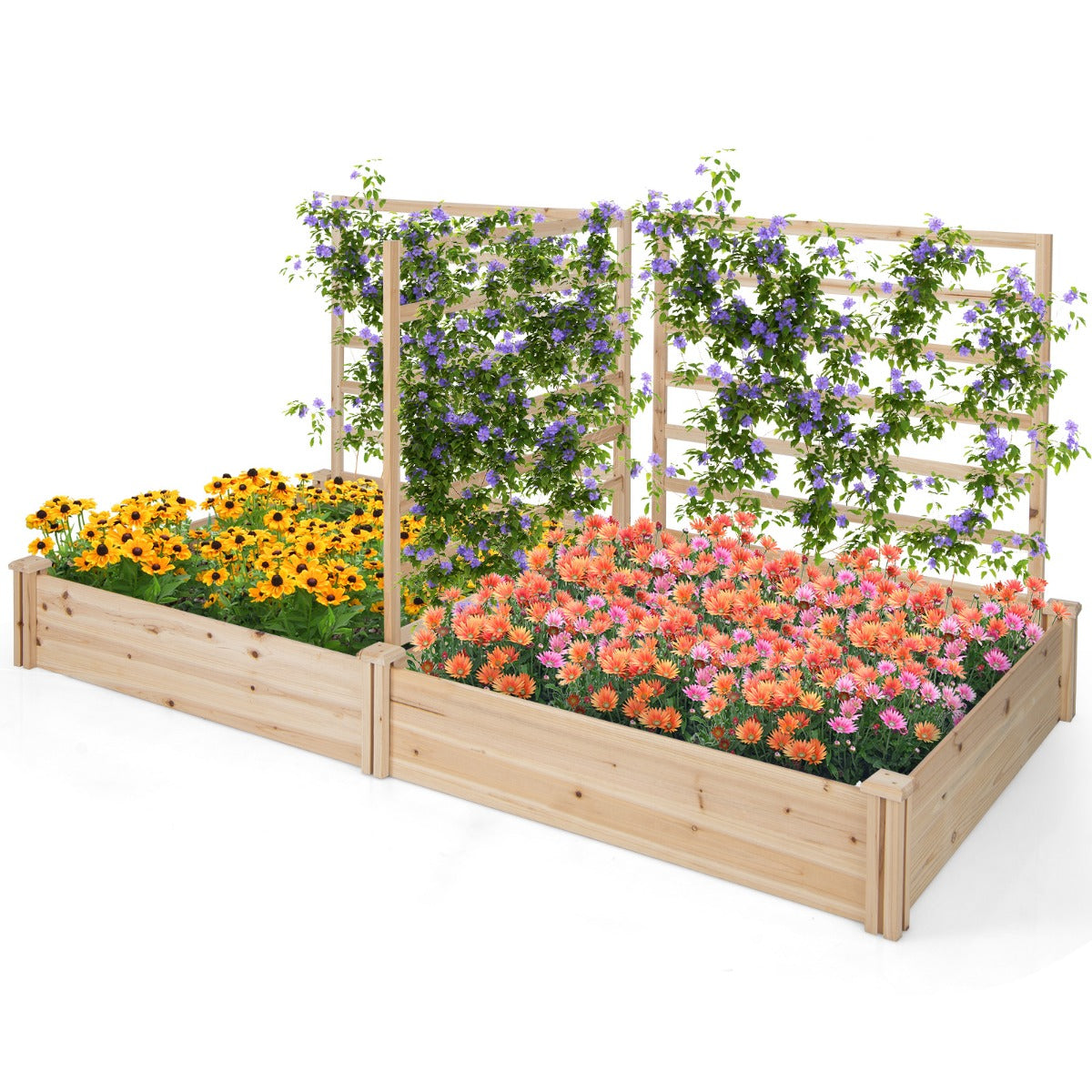 Cama de Jardín Elevada con 2 Maceteros y 3 Enrejados Kit de Macetero de Madera para Exteriores para Patio 222 x 114 x 110 cm Natural