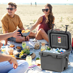 Enfriador 15 L Caja de Hielo Portátil a Prueba de Fugas 24 Latas para Camping 46 x 34 x 33 cm Gris