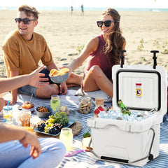 Enfriador 15 L Caja de Hielo Portátil a Prueba de Fugas 24 Latas para Camping 46 x 34 x 33 cm Blanco