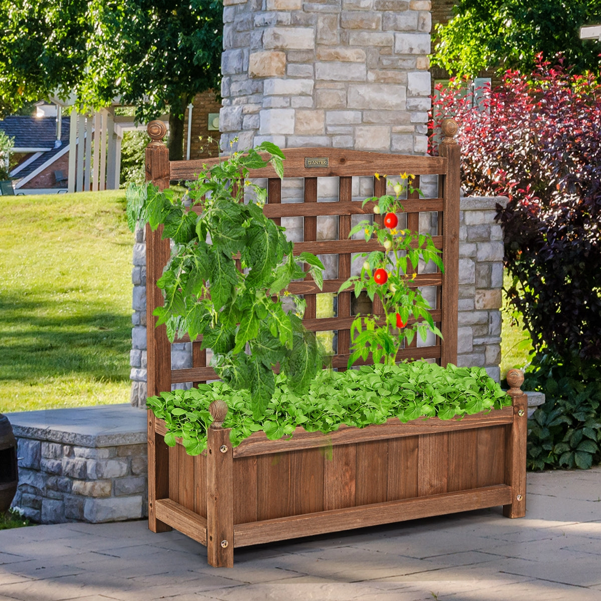 Maceta con Enrejado en Madera Tiesto para Jardín Patio Perfecto para Plantas Trepadoras Vides Flores Marrón Oscuro 64,5 x 28 x 75 cm