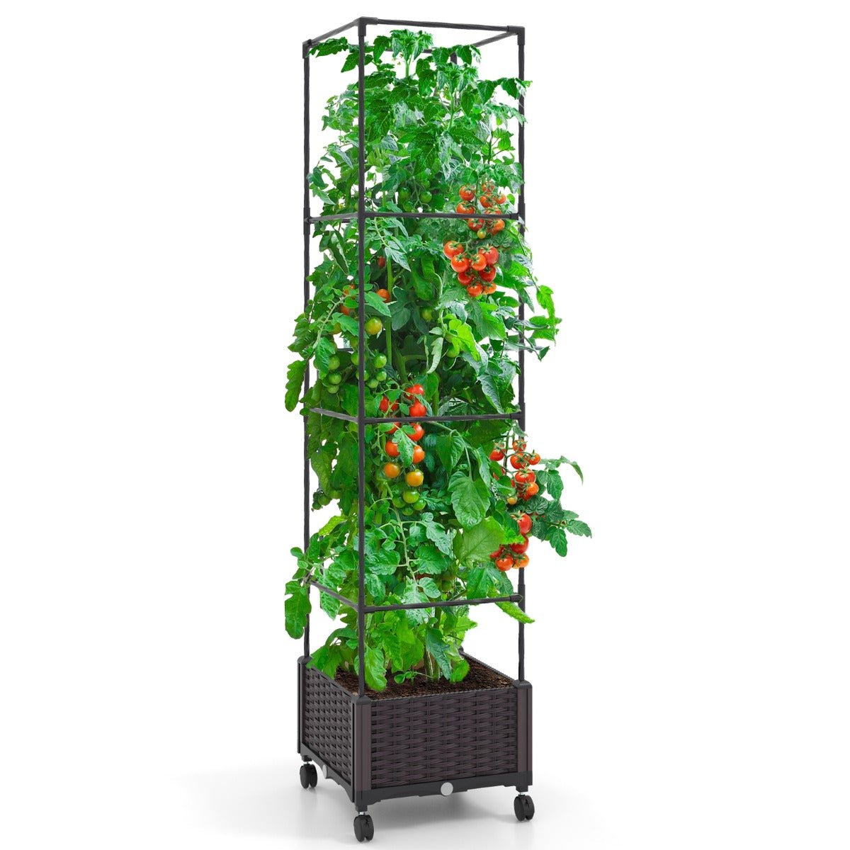 Macetero Elevado de 170 cm con Enrejado Sistema de Riego Automático Ruedas Macetero Vertical para Plantas Trepadoras Flores Vegetales